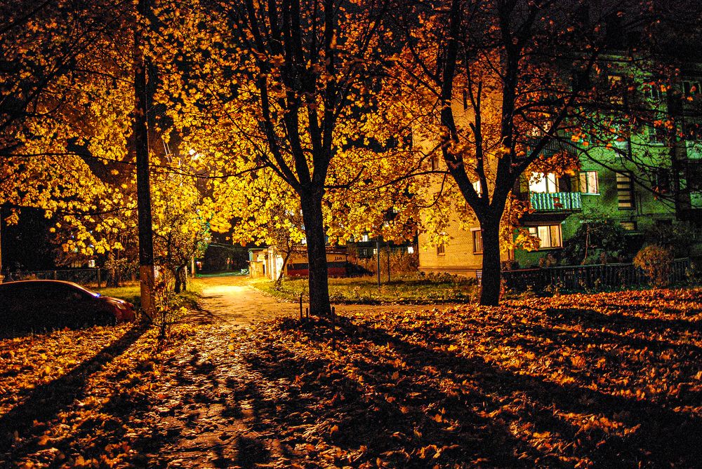 Фотография автора Ковяк Сергей Васильевич