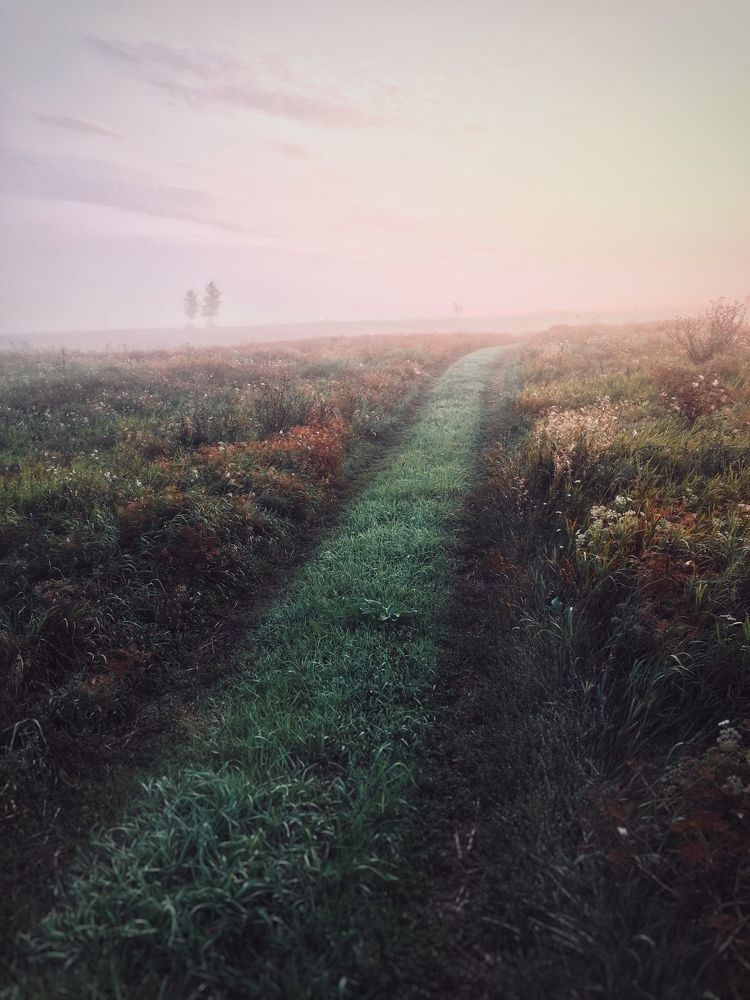 Photograph by Виталий Орлов