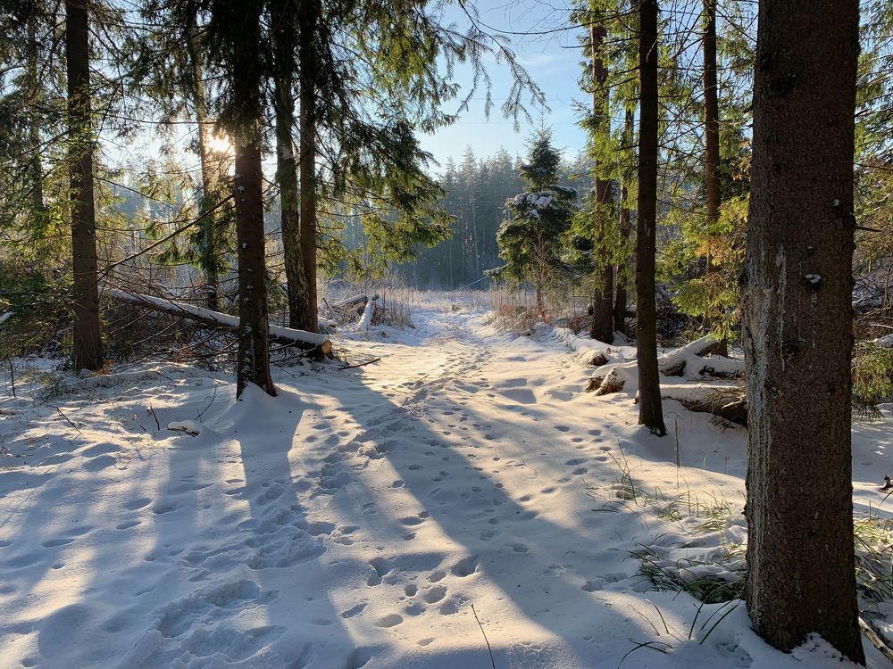 Photograph by Ионова Татьяна