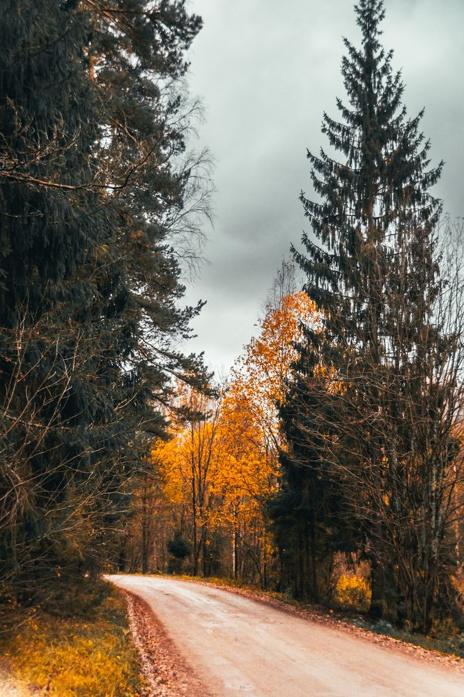 Photograph by Елена Ефимова