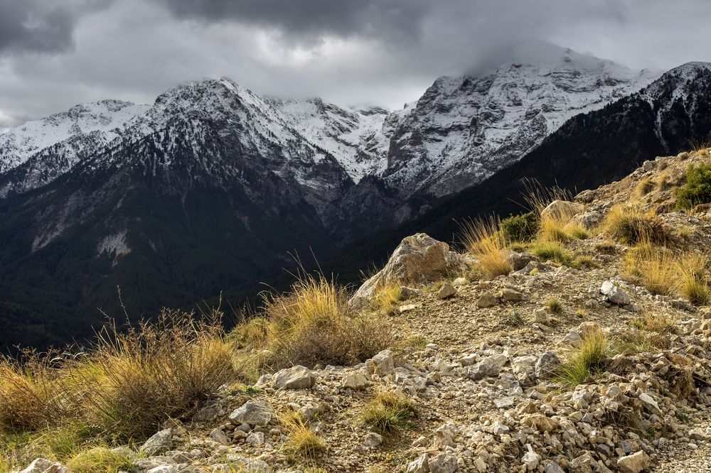 Photograph by TETYANA LYAPI