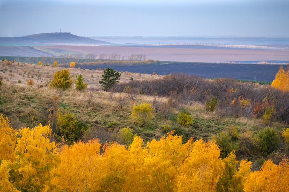 Photograph by Ольга Тюрина