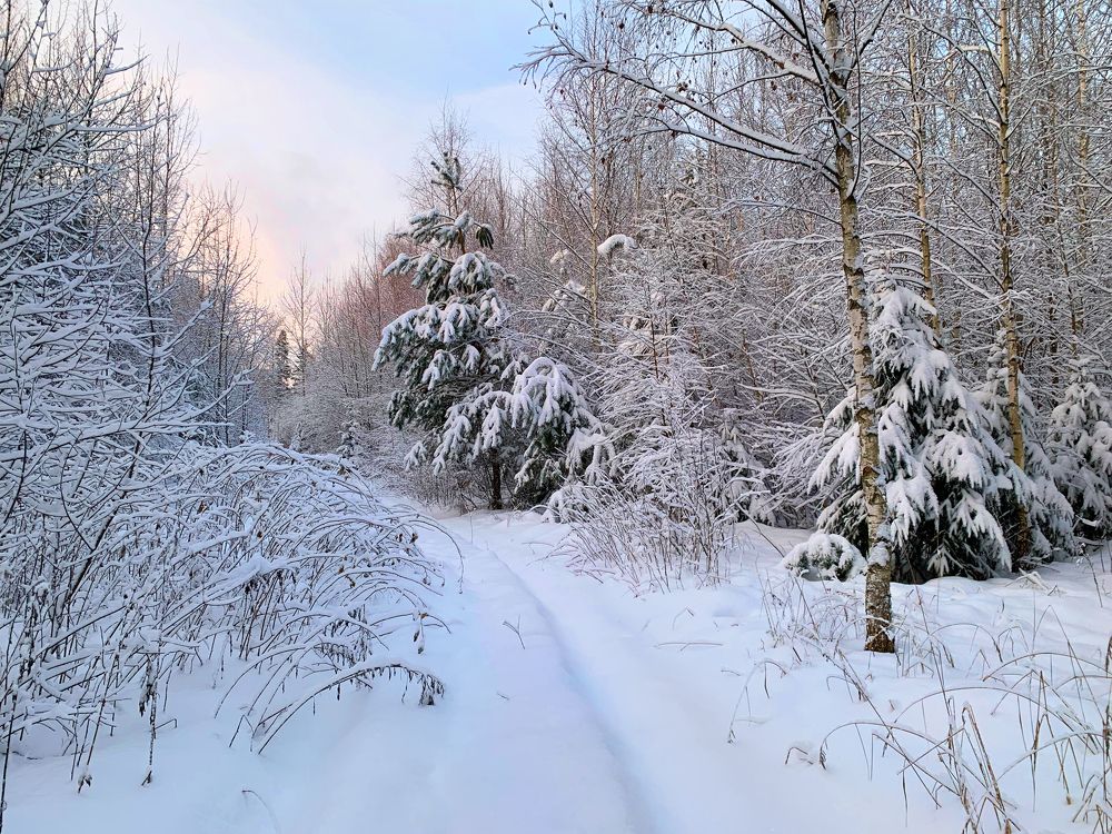 Photograph by Ионова Татьяна