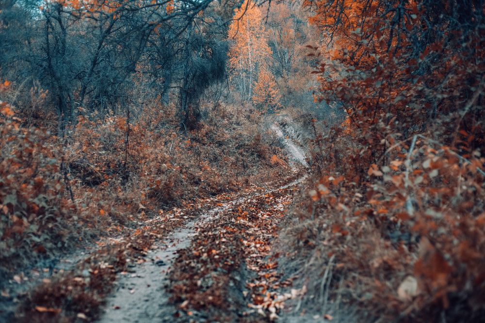 Photograph by Konstantin