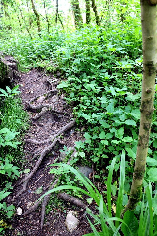 Photograph by Николай Немчанинов