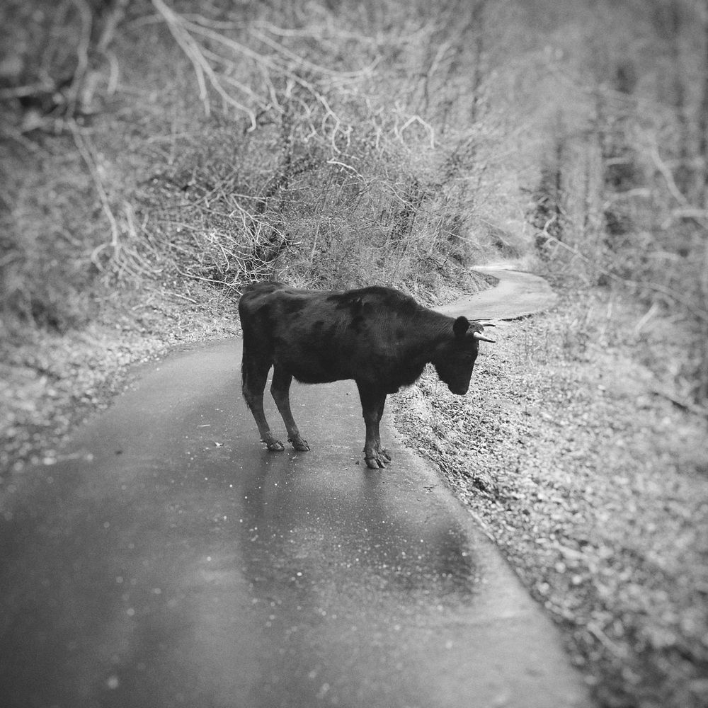 Photograph by Виталий Орлов