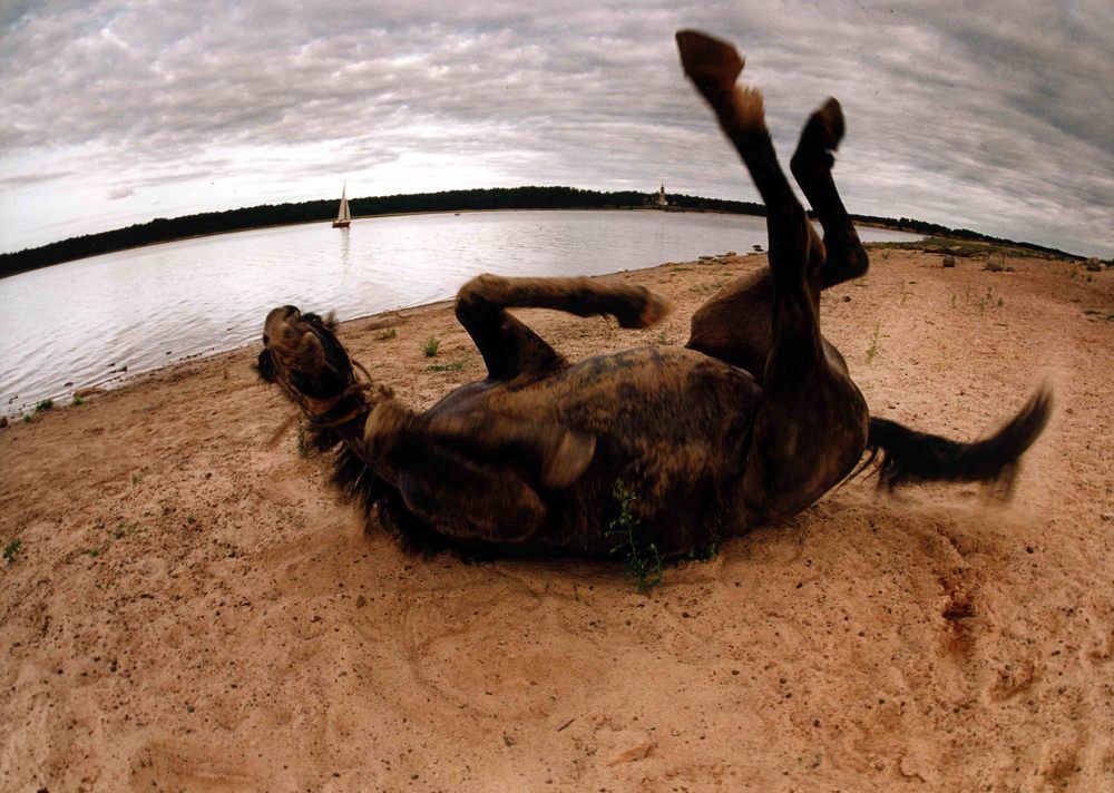 ПОСЛЕ КУПАНИЯ В РЕКЕ