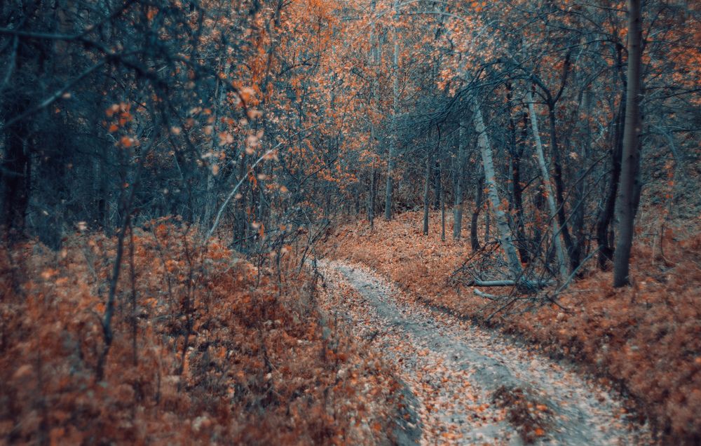 Photograph by Konstantin