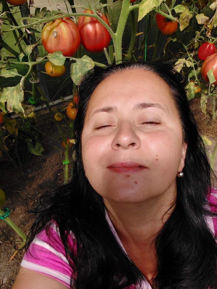 Photograph by ЭЛЬМИРА  ИСМАИЛОВА