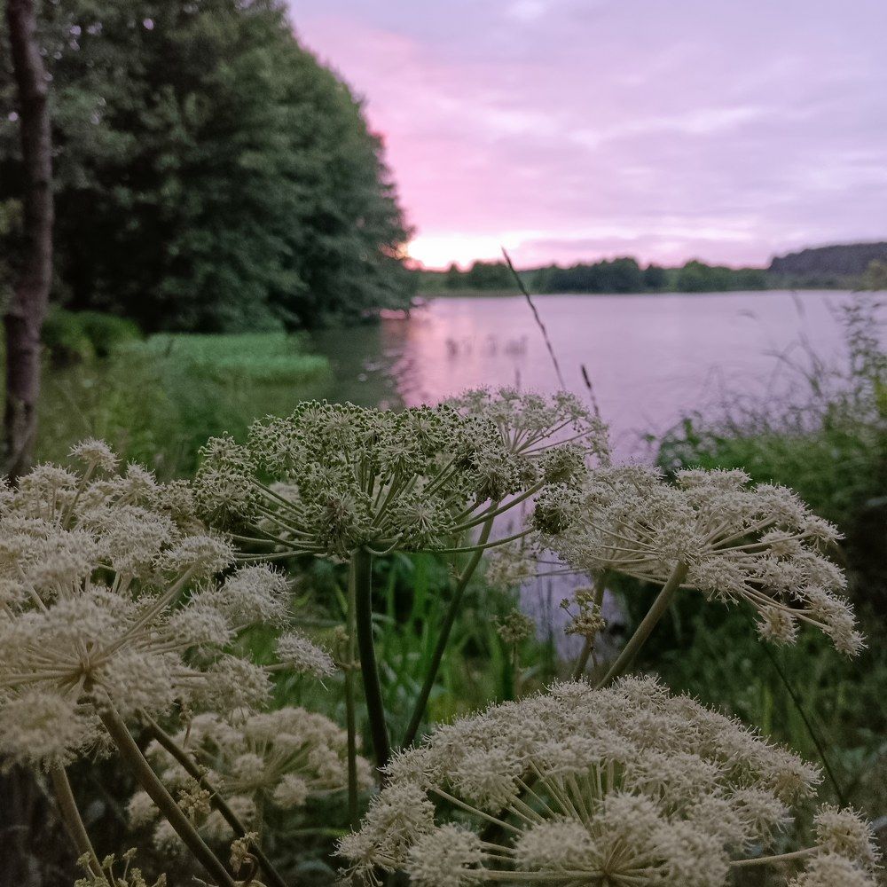 Photograph by Ольга Скворцова