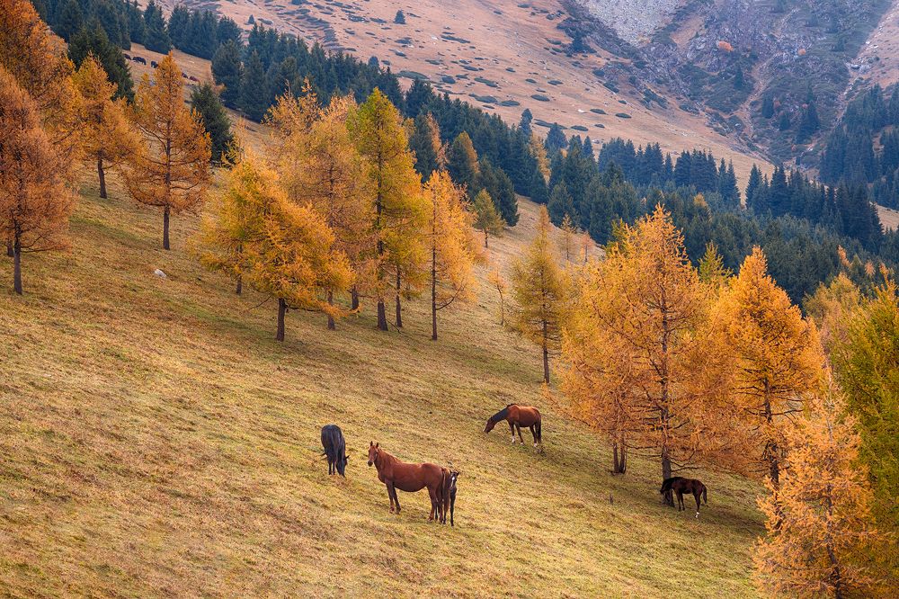 Прогулка с мамой