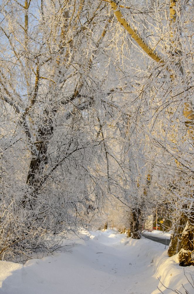 Photograph by Юлиана Иванова