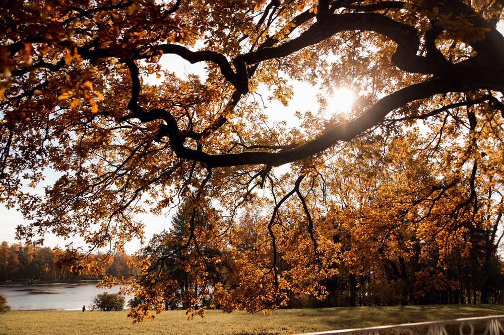 Photograph by Катя Цвет