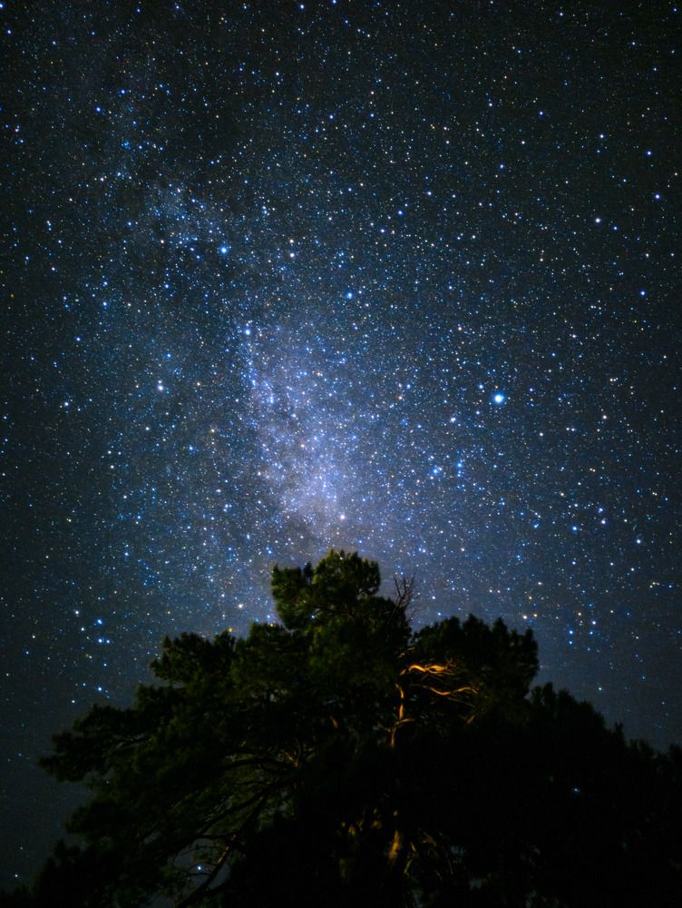 Photograph by Андрей Летов