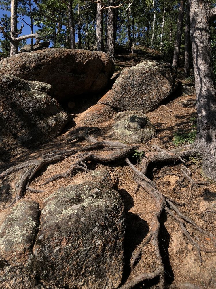 Фотография автора Светлана Гончарова