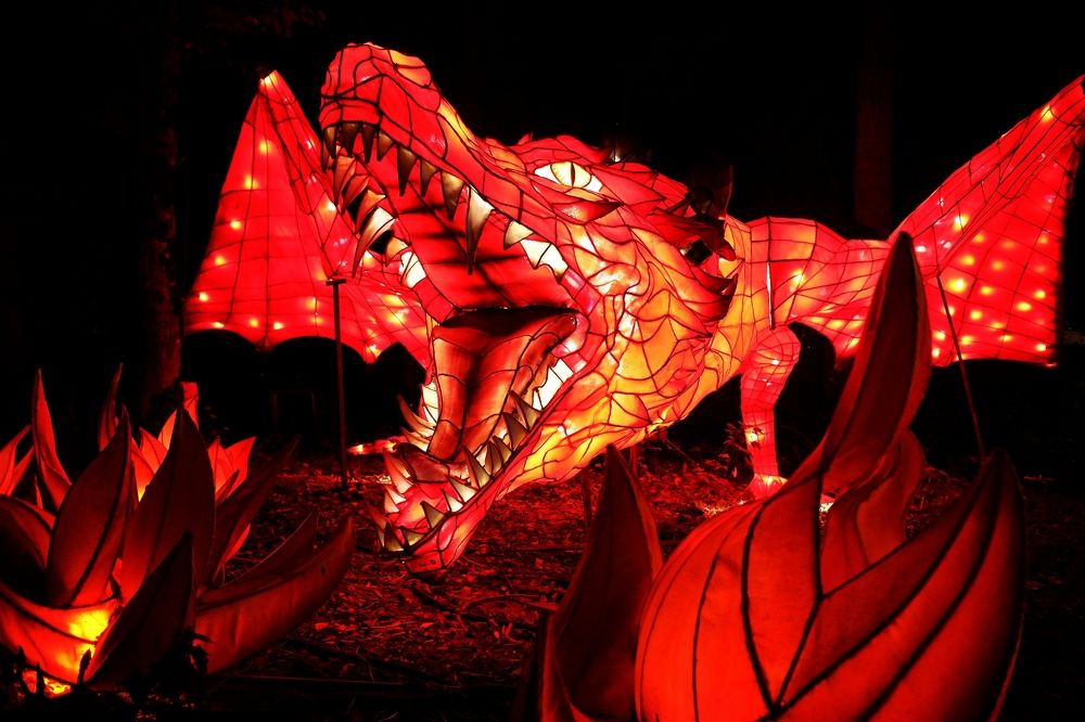 Photograph by Зорин Миша