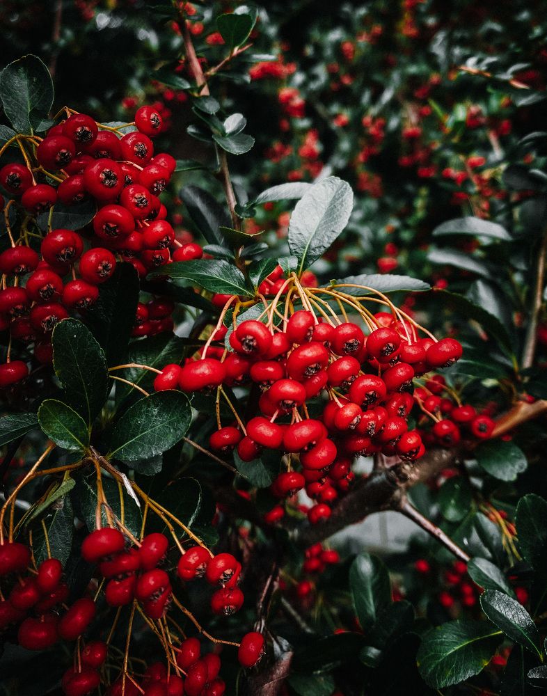 Photograph by Дарья Андреева