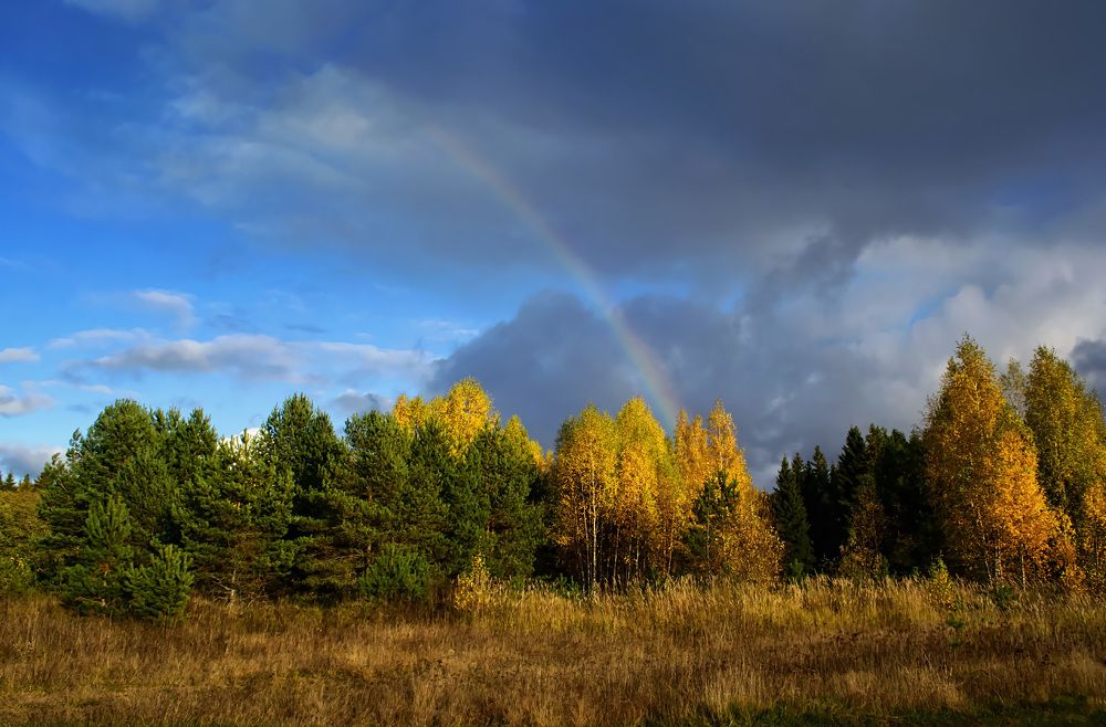Волшебная кисть Осени.
