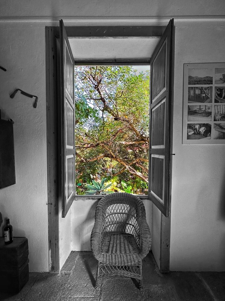 Photograph by Лидия