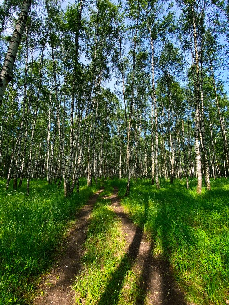 Photograph by Дарья Андреева