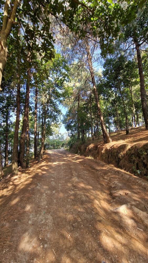 Photograph by Gemelina Opriș