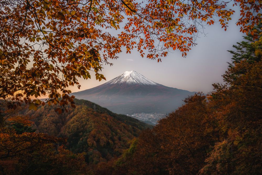 Photograph by Hiroki Matsubara
