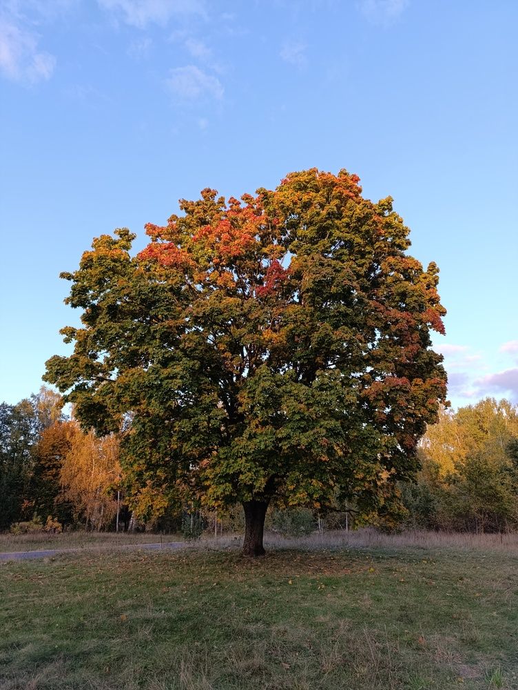 Фотография автора Михаил Бурминский
