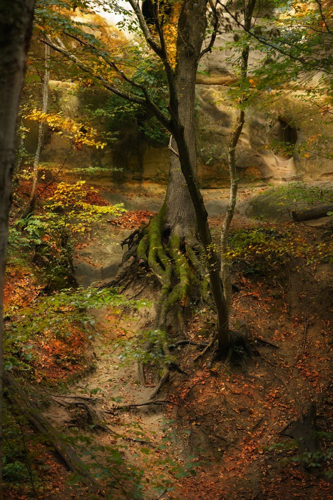 Photograph by Эльвира Глазунова