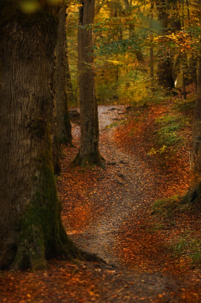 Photograph by Эльвира Глазунова