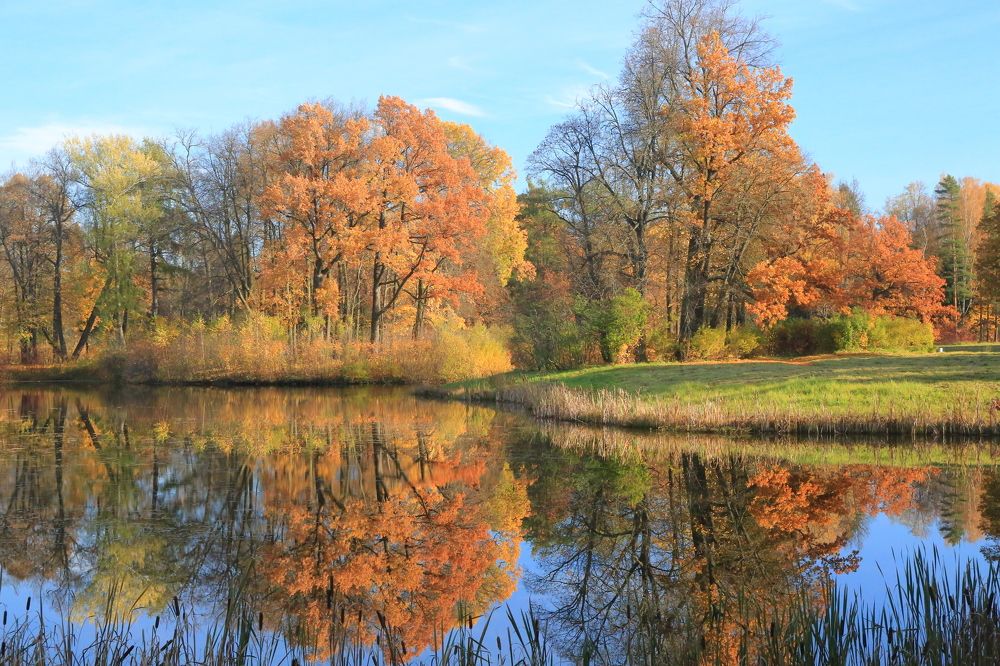 Photograph by Николай Бакулин