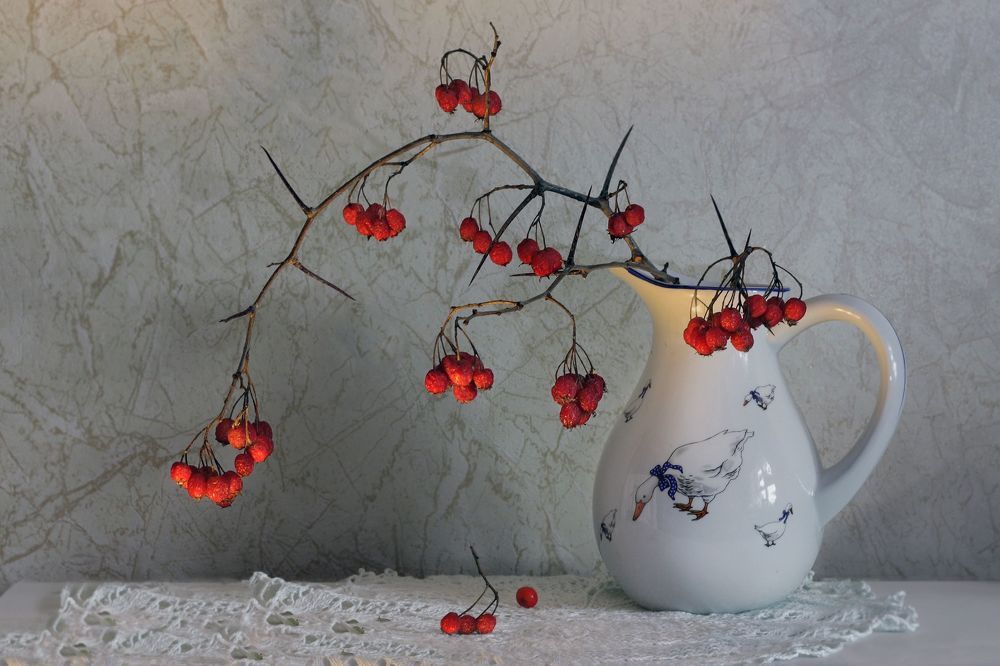 Photograph by Заболотская Ольга