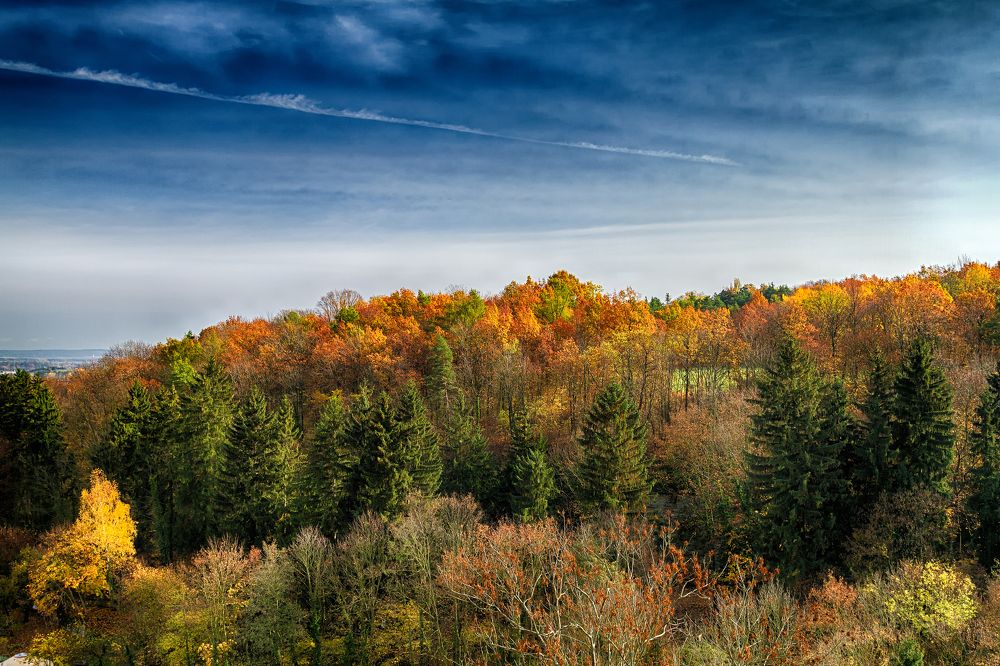 Photograph by Алексей Степанов