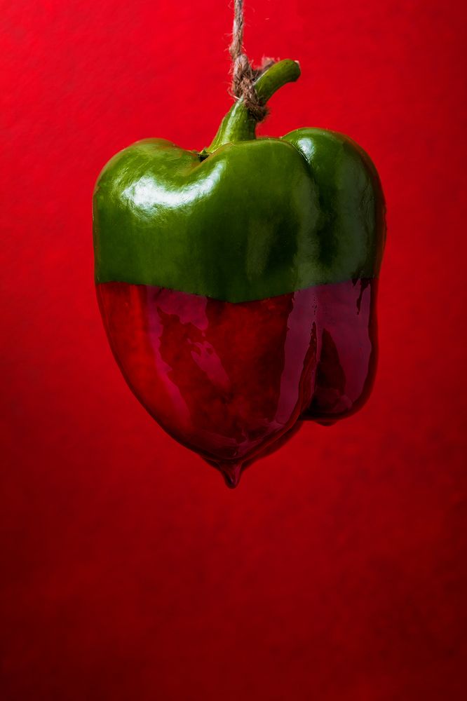 Photograph by Maria Sokor-Bondarenko