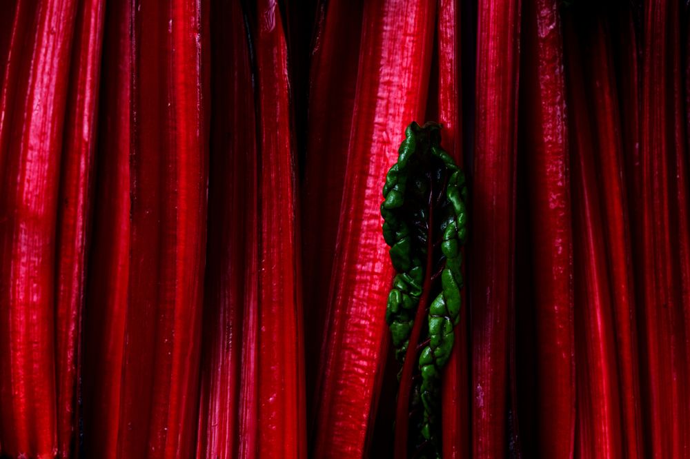 Photograph by Maria Sokor-Bondarenko