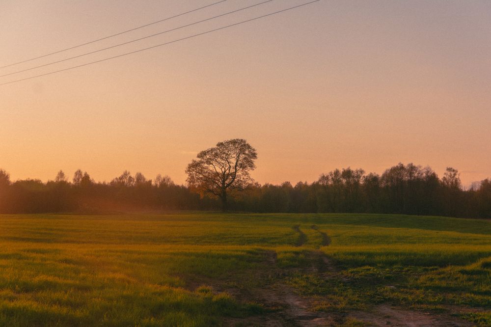 Photograph by Полина Шкляр