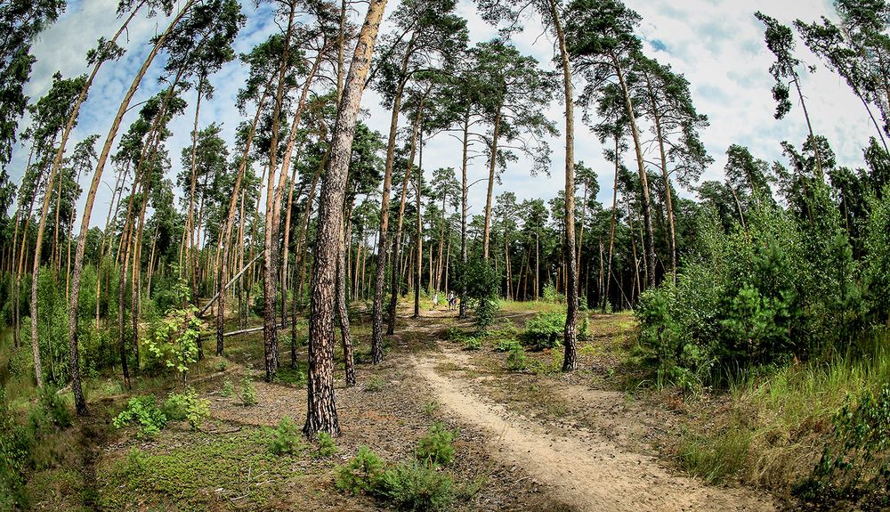 Photograph by Вячеслав Лычков