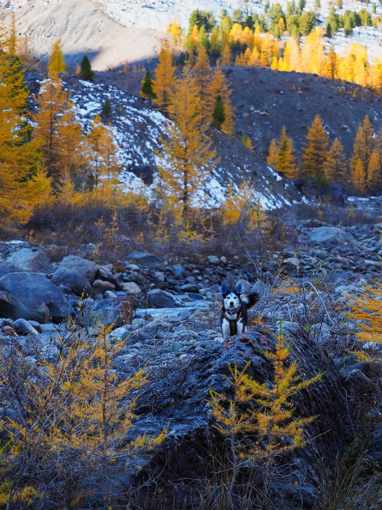 Photo #11222677