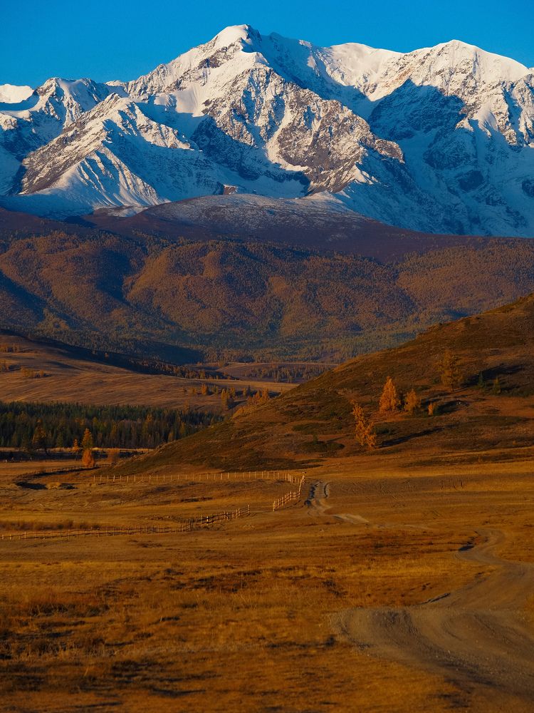 Photo #11222678