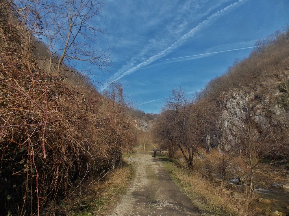 Photograph by Dragoslav Macanović