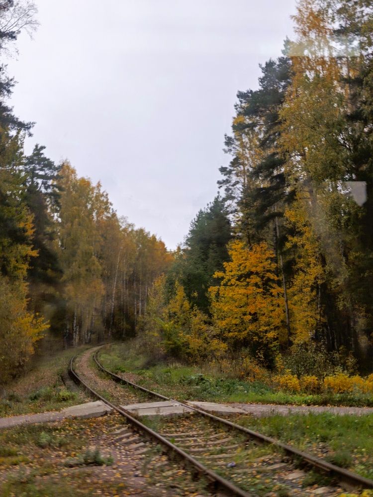 Photograph by Татьяна Пальчикова