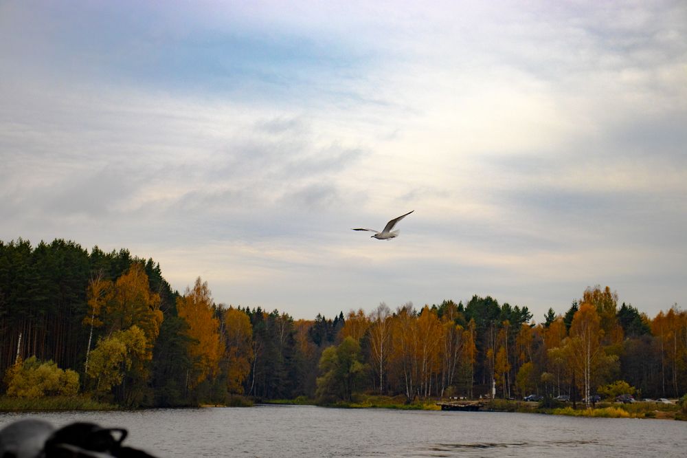 Photograph by Мария Крюкова