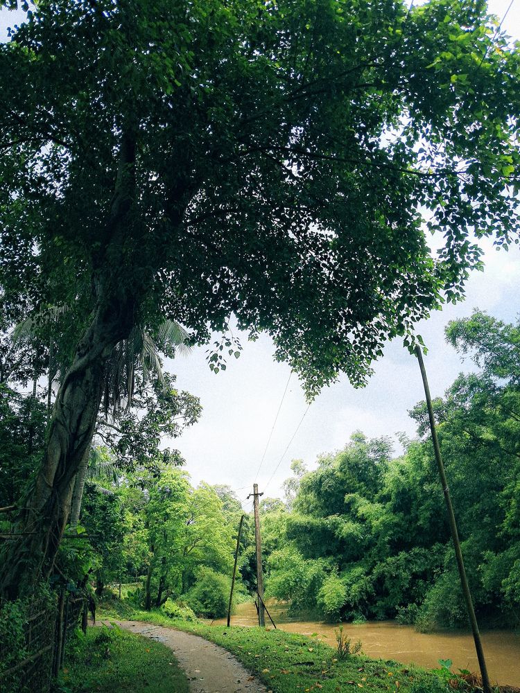 Photograph by Chinmay saloi