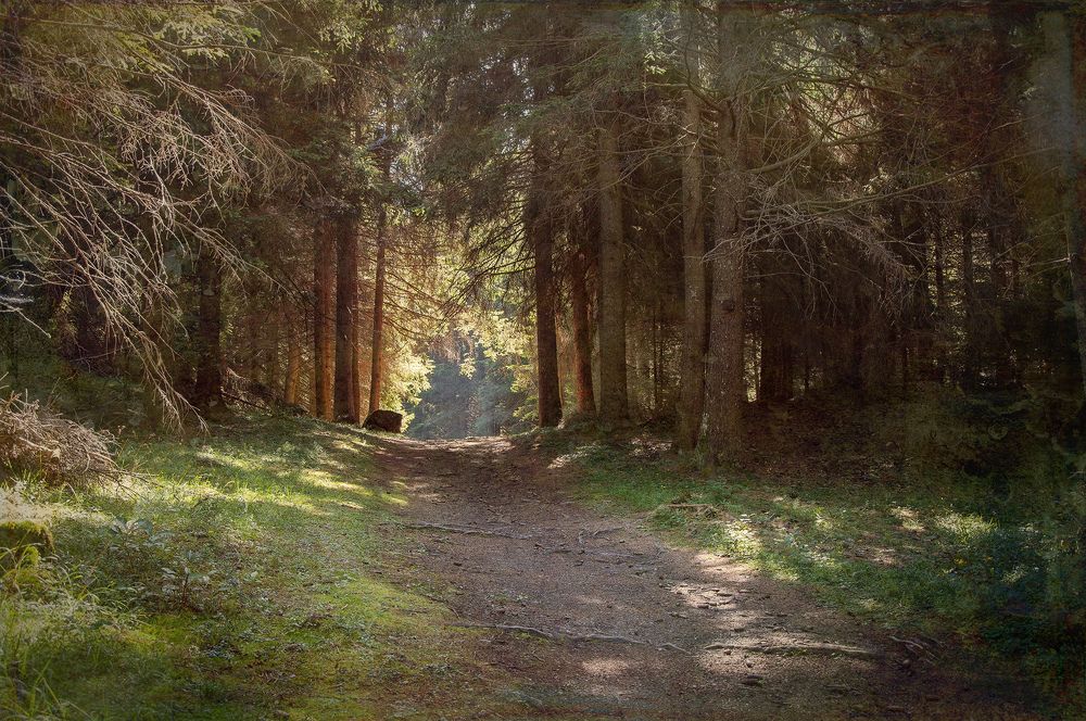 Photograph by Svetlana Rizzo