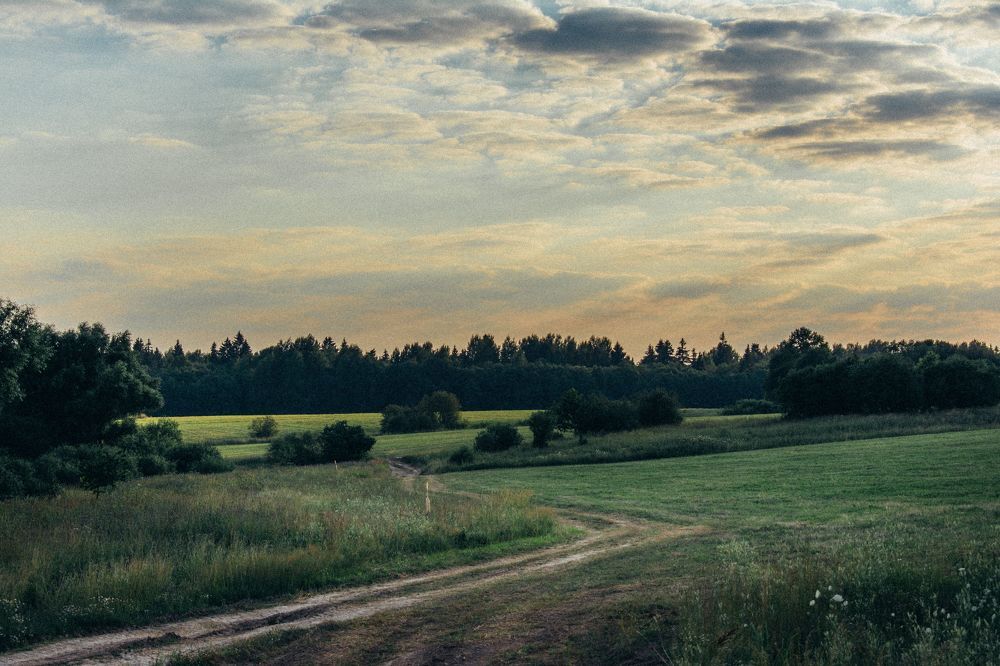 Photograph by Полина Шкляр