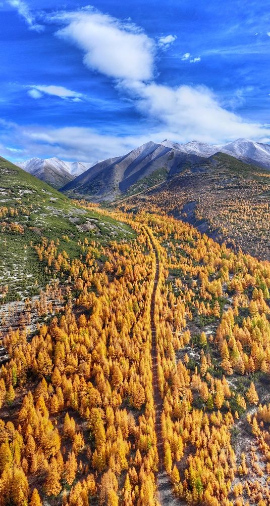 Осенние контрасты