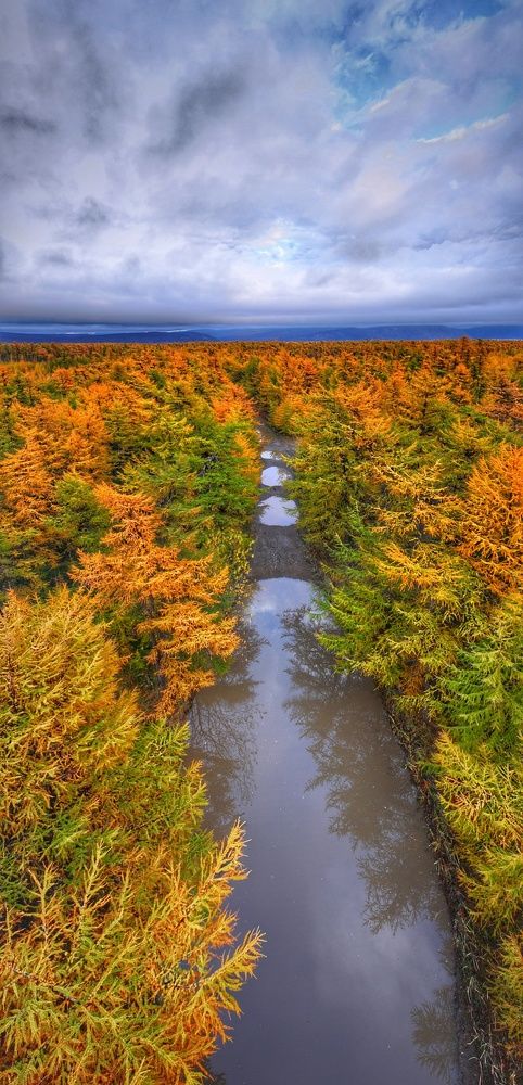 Дождливая осень