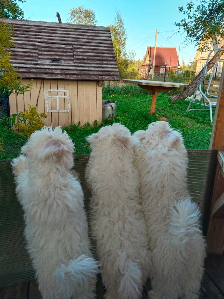 Photograph by Nikita Zorin