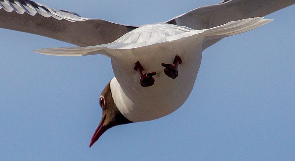 Photograph by Дмитрий Черепков