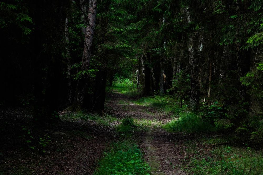 Photograph by Александр Новиков