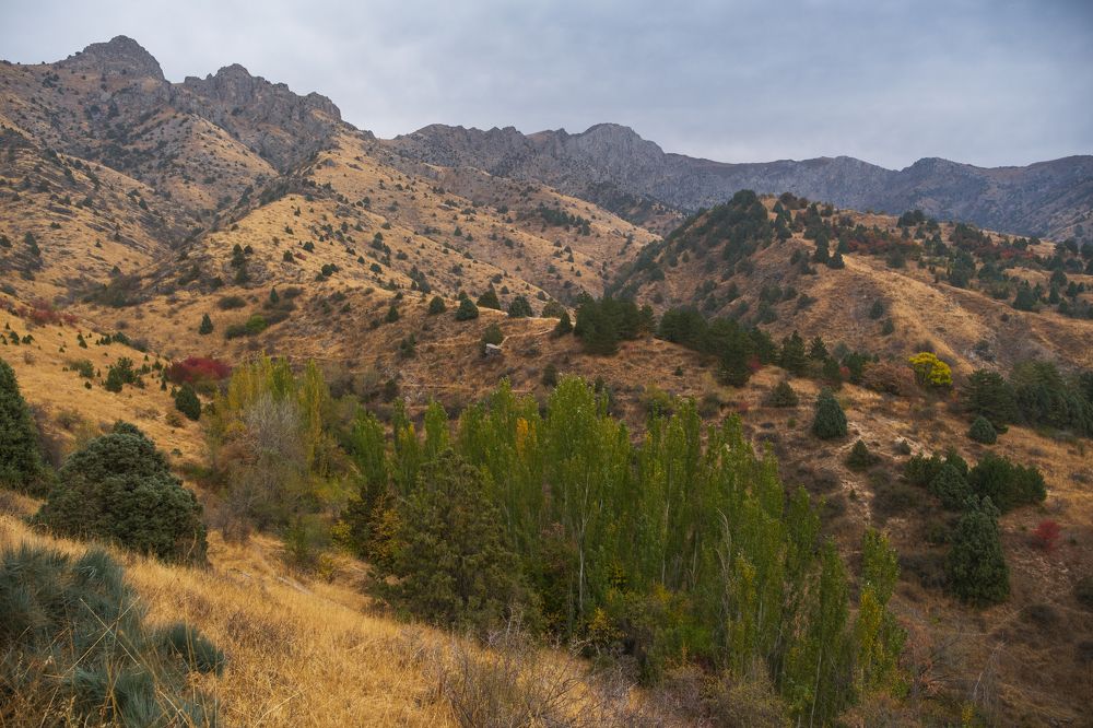 Photograph by Дильмурад Ахмедов